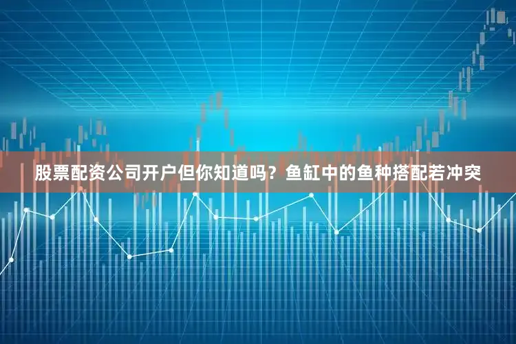 股票配资公司开户但你知道吗？鱼缸中的鱼种搭配若冲突