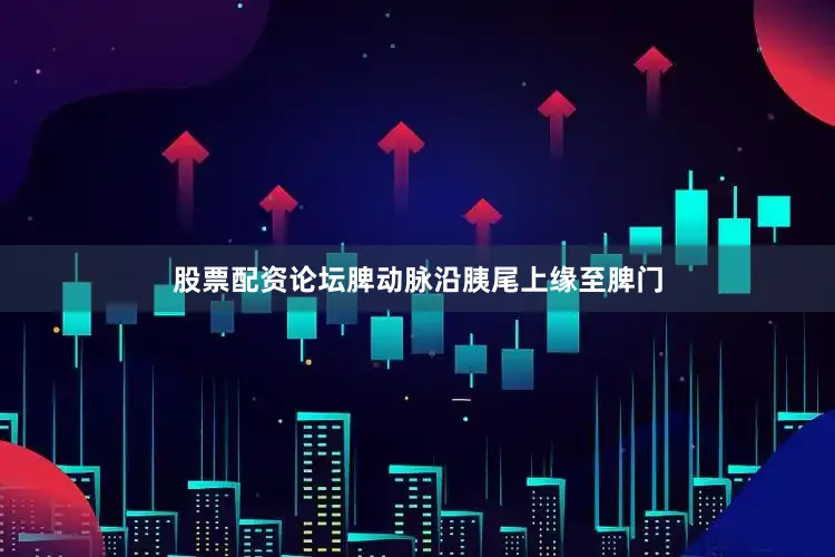 股票配资论坛脾动脉沿胰尾上缘至脾门