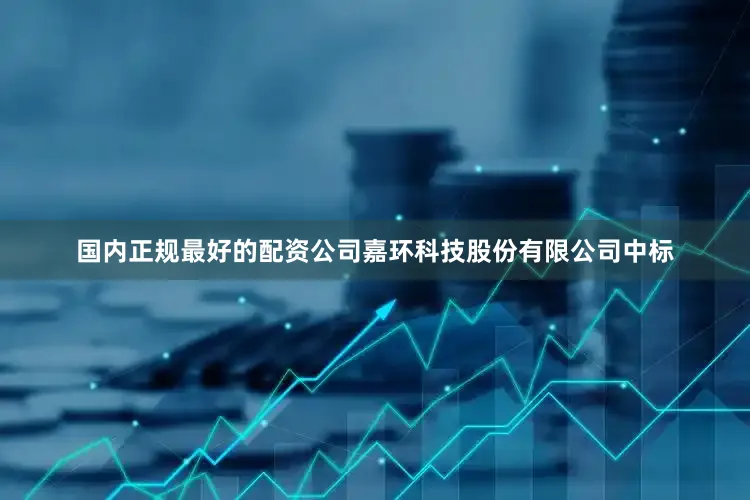 国内正规最好的配资公司嘉环科技股份有限公司中标