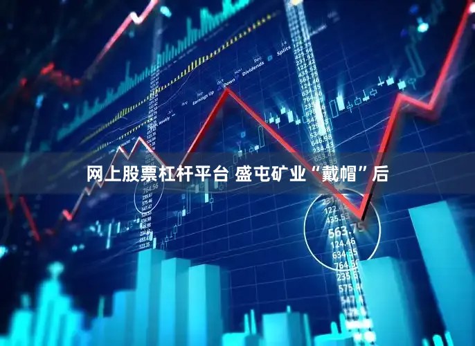 网上股票杠杆平台 盛屯矿业“戴帽”后