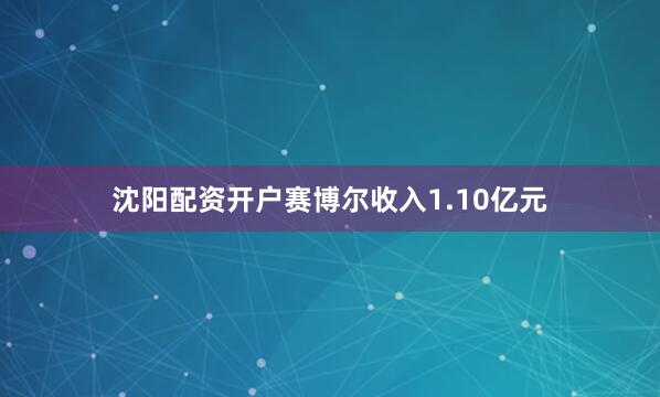 沈阳配资开户赛博尔收入1.10亿元